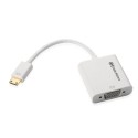 Adaptateur Mini HDMI M / VGA F