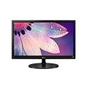 Moniteur LG 19M38A-B Ecran PC LED 19'' 1366 x 768 5 ms VGA