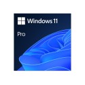 Microsoft Windows 11 Pro 64 bits ESD